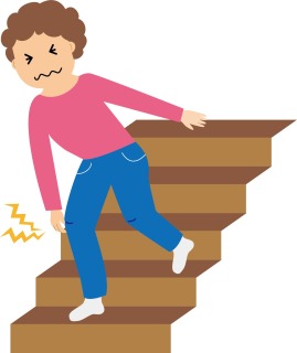 画像の説明