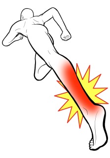 画像の説明 画像の説明