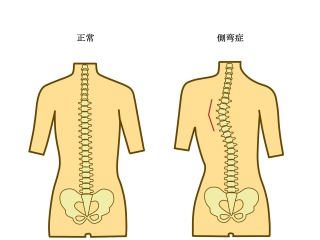 画像の説明