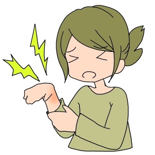 画像の説明