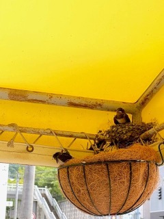 画像の説明 画像の説明